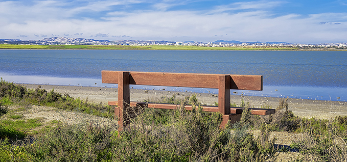 large hills greenery